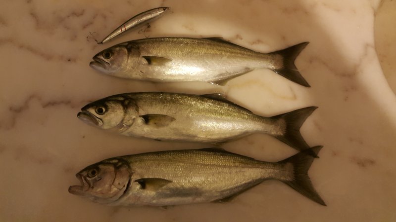 20180116_201455.jpg