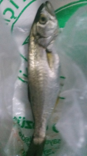 20180510_204356.jpg