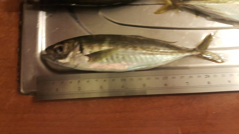 20180511_021126.jpg