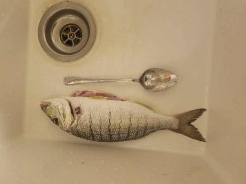 20180618_231738.jpeg