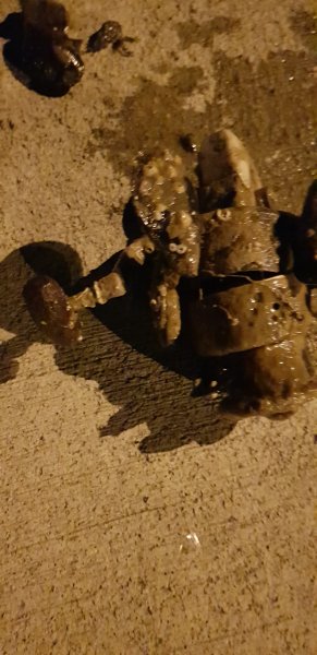 20181002_211359.jpg