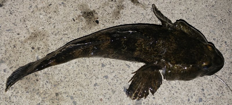 20190501_225642.jpg