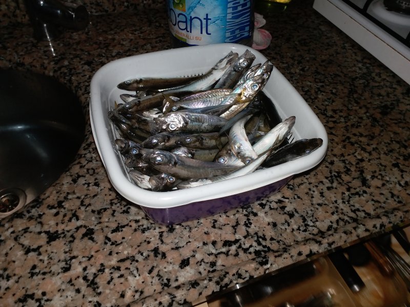 20190502_223423.jpg