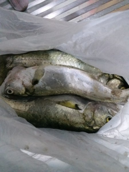 20190503_213742.jpg