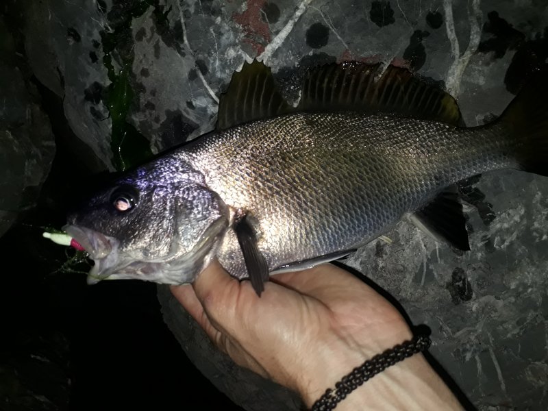 20190601_224548.jpg