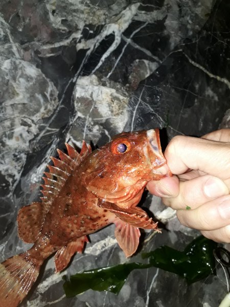 20190602_001003.jpg