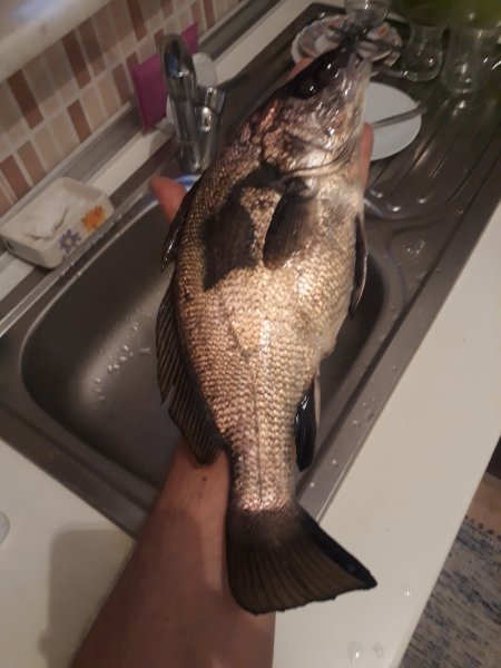 20190603_110613.jpg