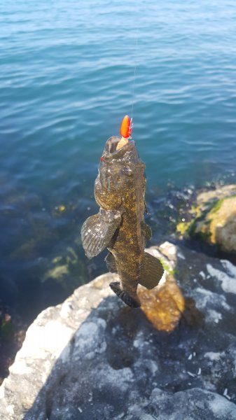 20190608_091245.jpg