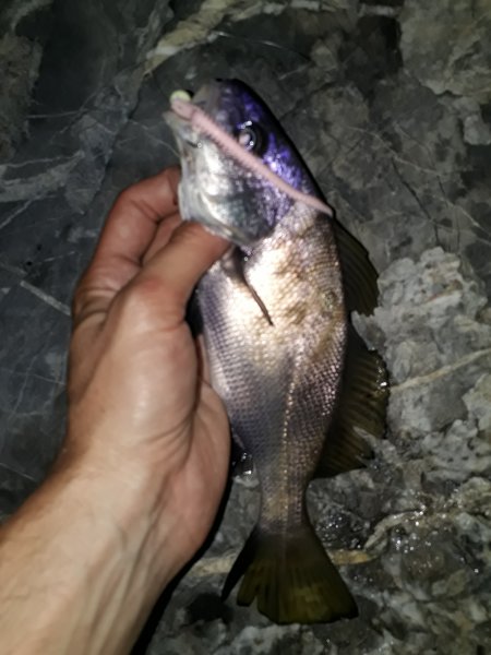 20190612_215424.jpg