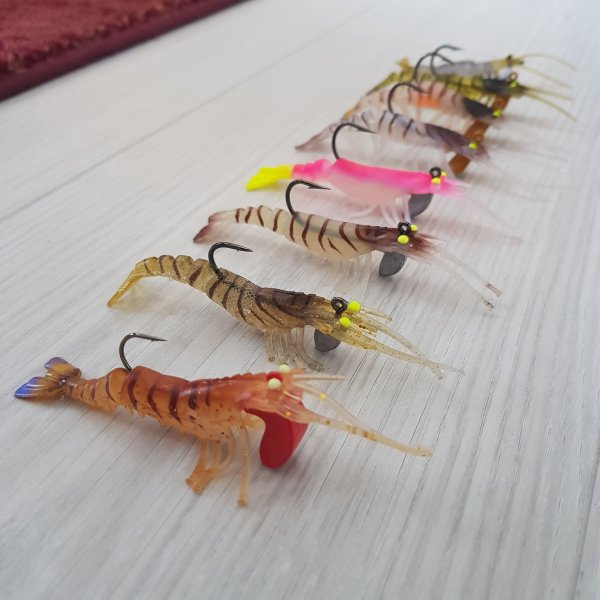 20191006_155708.jpg