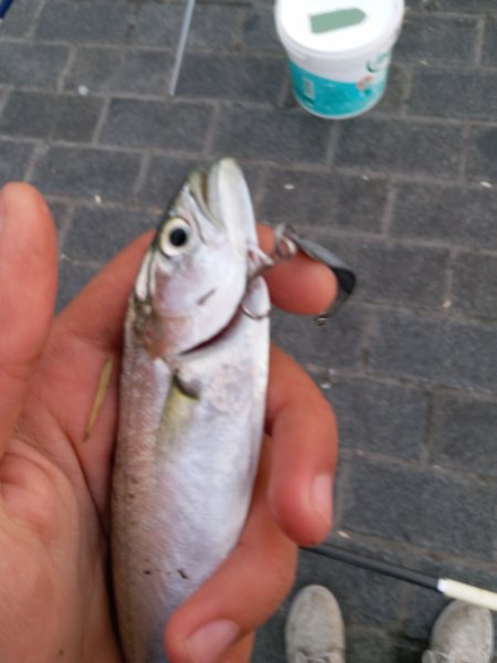 20191203_083128.jpg