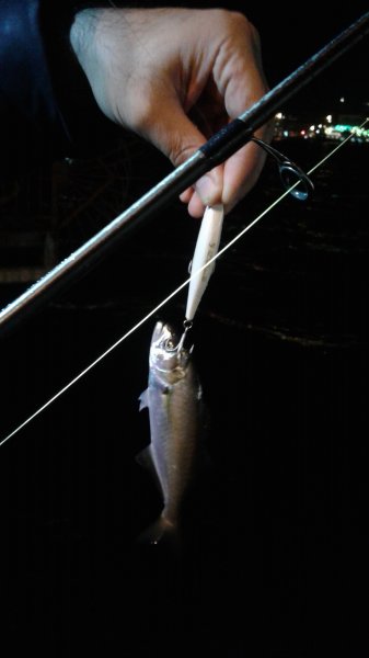 20191216_194227.jpg