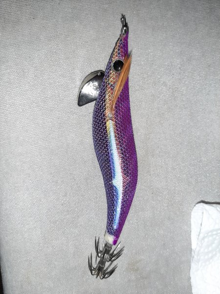 20200626_001247.jpg
