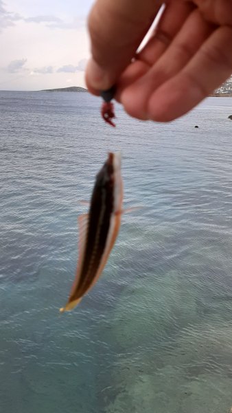 20201207_150836.jpg