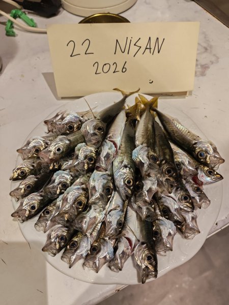 22nisan.jpg