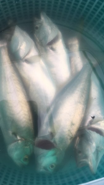 492934EF-2D82-402B-9AA2-4298AFFCE3E3.jpeg