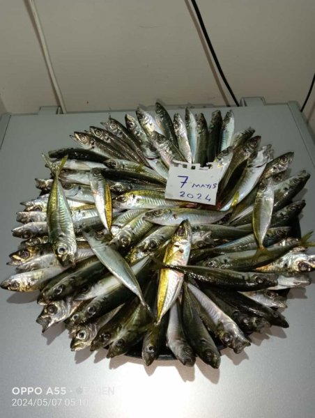 Başlıksız.jpg