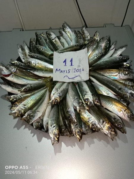 Başlıksız.jpg