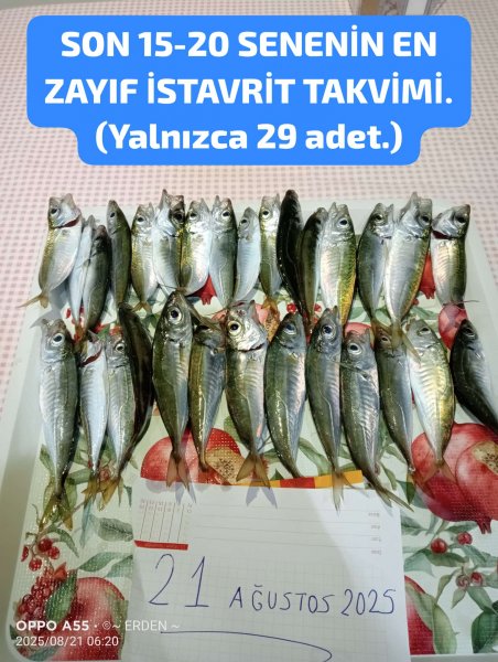 Başlıksız.jpg