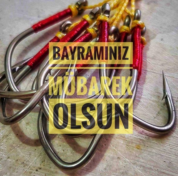bayr.jpg