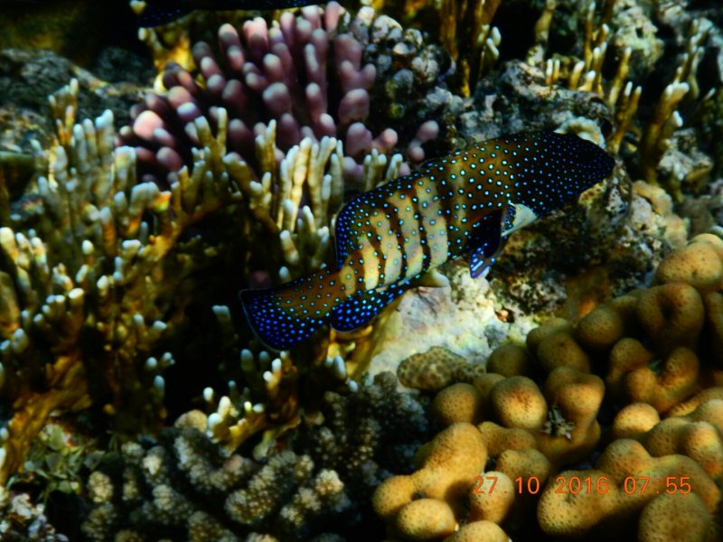 DSCN0363.JPG