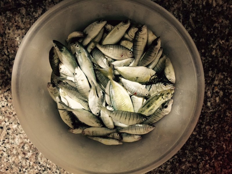 FullSizeRender (2).jpg