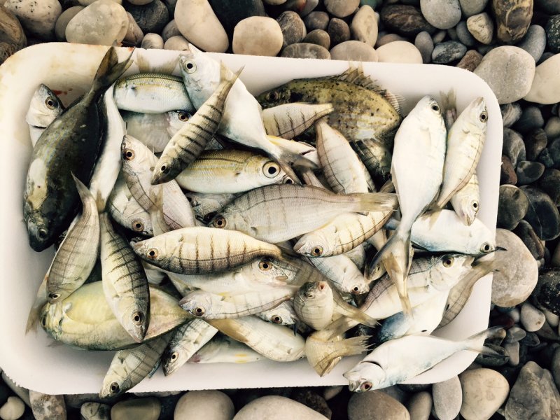 FullSizeRender (3).jpg