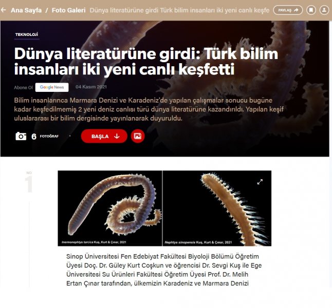 h1.jpg