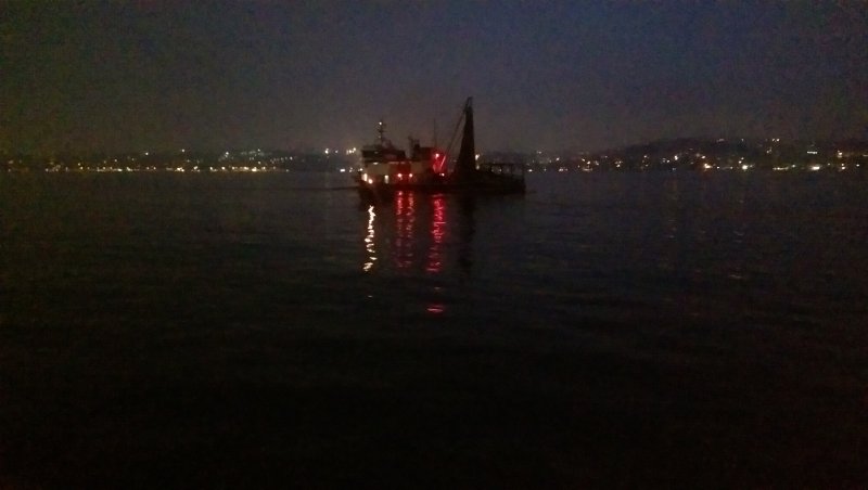 IMAG0986.jpg