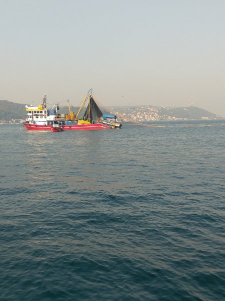 IMAG1324.jpg