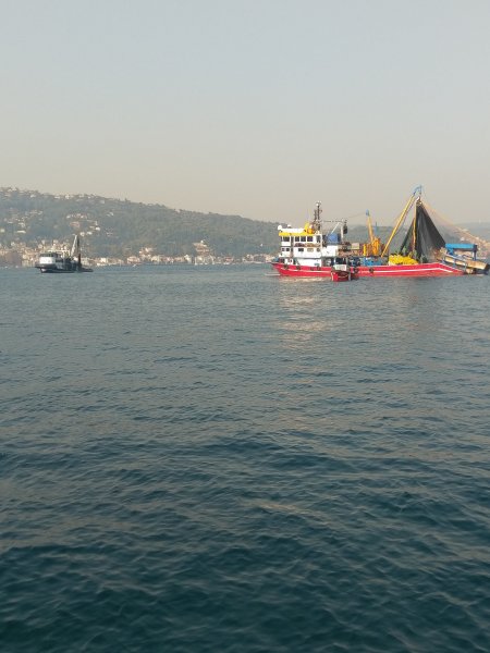 IMAG1325.jpg