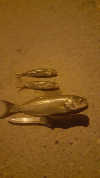 IMG-20170519-WA0015.jpeg