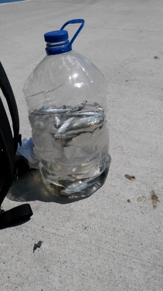 IMG-20180513-WA0001.jpeg