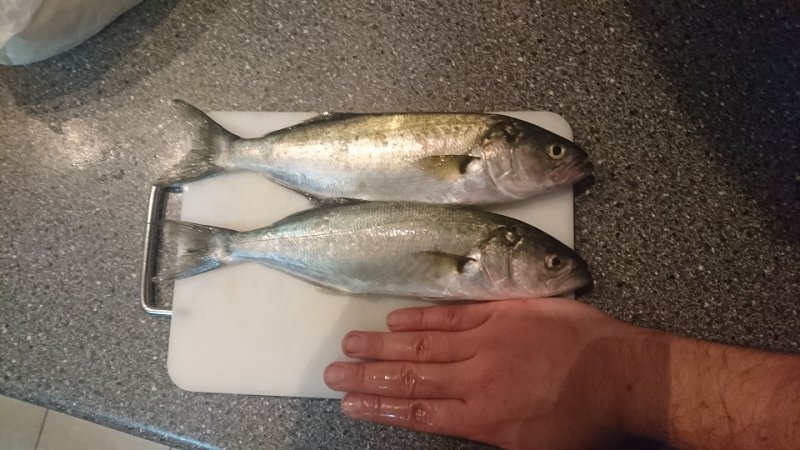 IMG-20190106-WA0010.jpeg