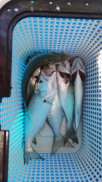 IMG-20190527-WA0000.jpeg