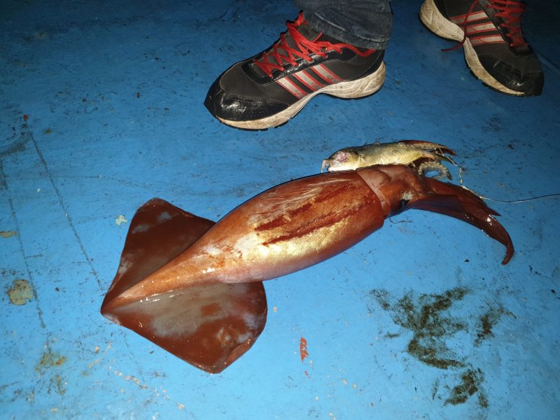 IMG-20191005-WA0055.jpg