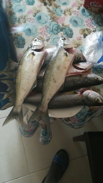 IMG-20191019-WA0001.jpeg