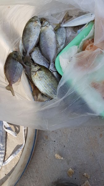 IMG-20191122-WA0005.jpeg