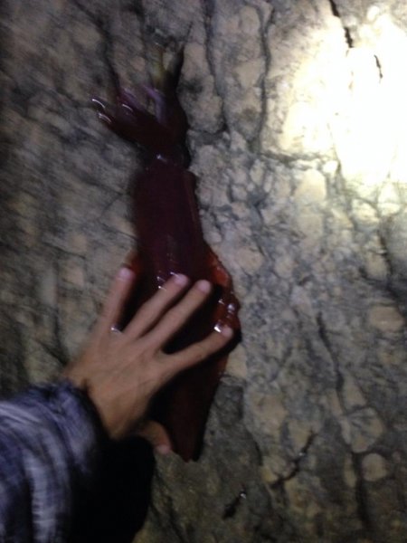 IMG-20191204-WA0004.jpg