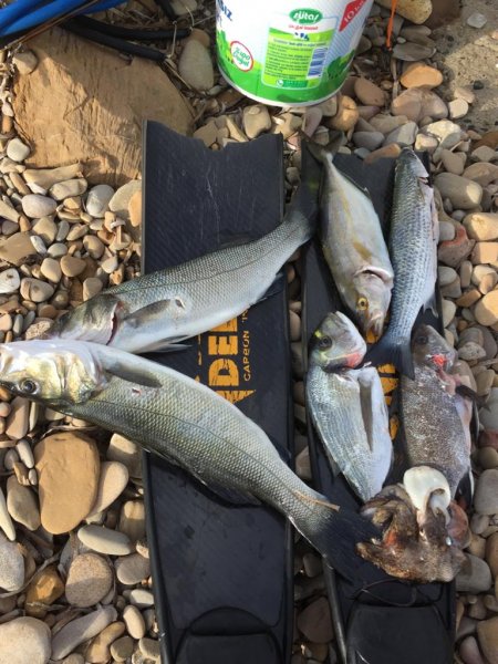 IMG-20191207-WA0007[1].jpg