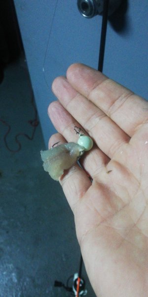 IMG-20201009-WA0029.jpeg
