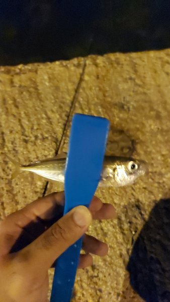 IMG-20210730-WA0016.jpeg