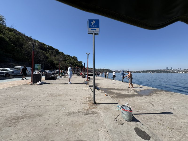 IMG_1061.jpeg