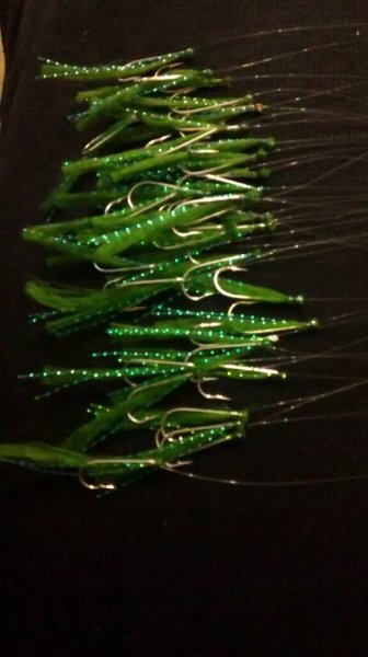 IMG_20170209_233832261.jpg