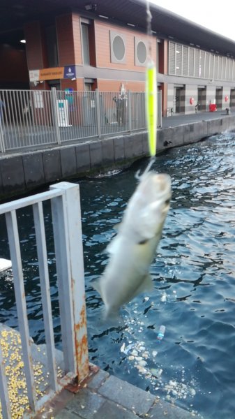 IMG_20190502_194205.jpg