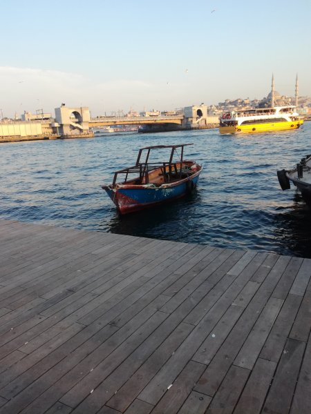 IMG_20190605_193813.jpg