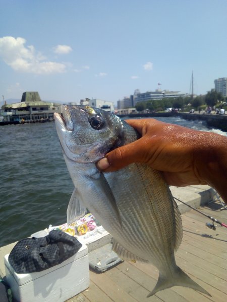 IMG_20190607_121724.jpg