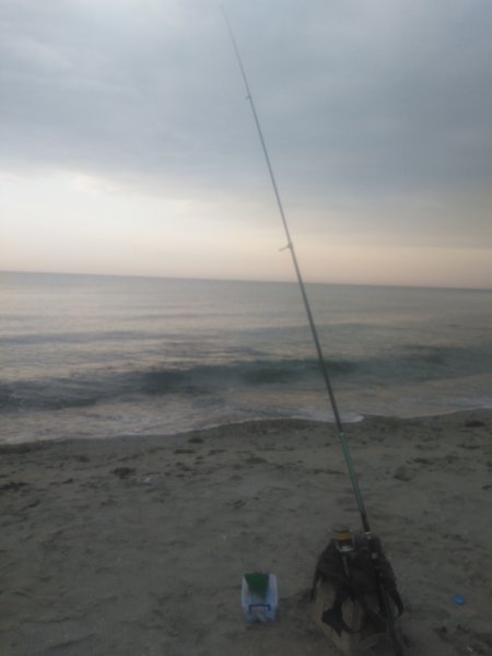 IMG_20190915_072748.jpg