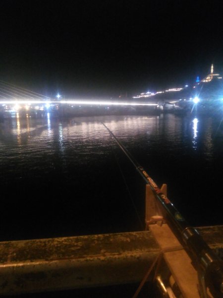 IMG_20191006_002714.jpg
