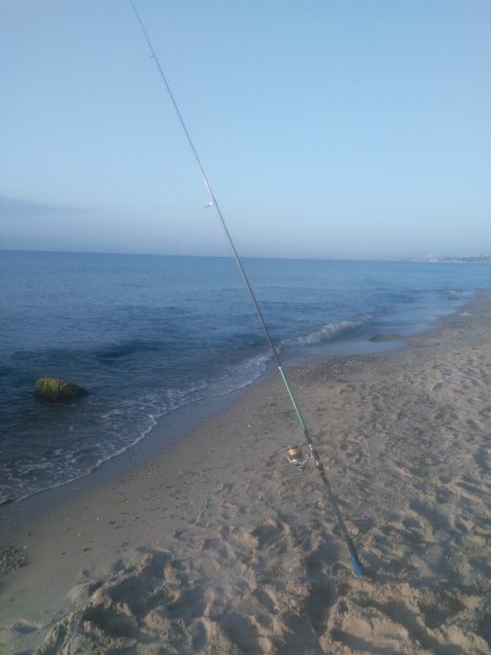 IMG_20191027_081340.jpg